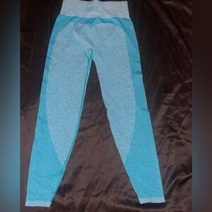 PINK Victoria’s Secret Seamless Workout Legging- Medium